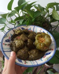 خوشمزه جان ها