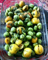 هلی دشکن وانبوه دشکن امسالمون جاتون سبز