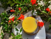 پاناکوتای شکلاتی لاکچری وزعفرانی