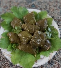 دلمه جاااااان?