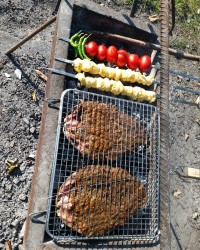 ماهی کبابی و جوجه کباب ما