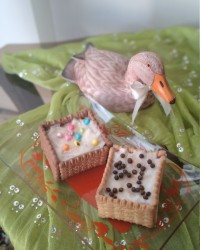 دسربیسکویتی خوشمزه من????