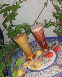 رانی زردآلو رانی توت فرنگی