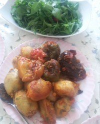 دلمه رنگارنگ سبزیجات