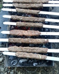 کباب عمو امید ???