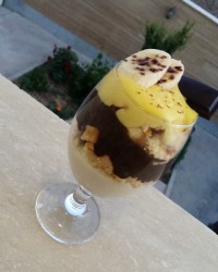 مگنولیا
