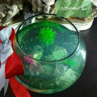 ژله تنگ ماهی