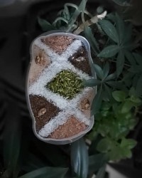 حلوای بیسکوییت کاکائویی