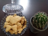 بیسکوییت وانیلی ...معجون مقوی