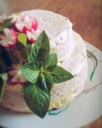 کیک الویه سکوت بانو