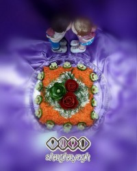 دیزاین سالادم هر چقدر زیباس از نظرتون لایک بشه فدای مرامتون ?