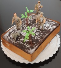 کیک کاکائوی