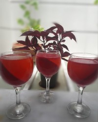 ژله بستنی مورب