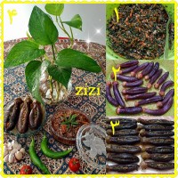 ترشی بادمجون شکم پر و لیته بادمجون