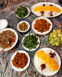 خوراک میگو