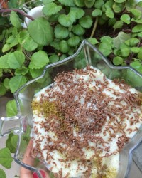 دسر دورنگ من