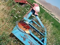 کیک بدون بکینگ پودر