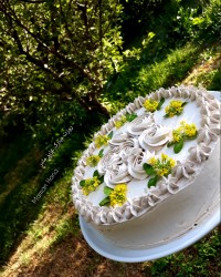کیکی برای دختران پاپیون..