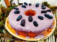 کیک میوه ای شاتوت