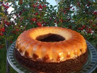 بازم فلن جان