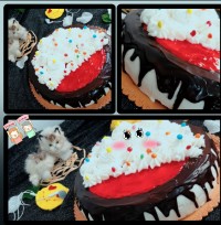 اینم از اولین تجربه ی من از کیک خامه ای ??♥