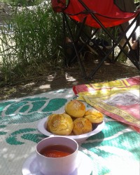 پولچا مغزدار در طبیعت