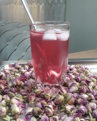 شربت گل محمدی