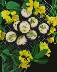 پست ویژه ولادت امام رضا