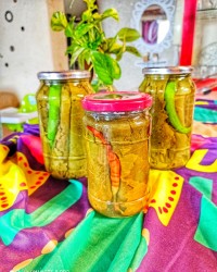 کنسرو برگ مو