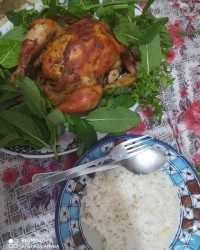 ناهارامروز