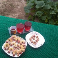 شیرینی نعلی و شیرینی رولی دارچینی