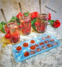 یخ قالبی خاکشیر ،شربتی ،نعنا