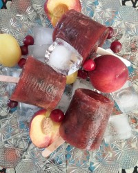 اسکمو خانگی