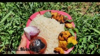 جوجه کباب در طبیعت لطفا کپشن رو مطالعه کنید