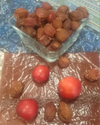 آلوی خشک خونگی
