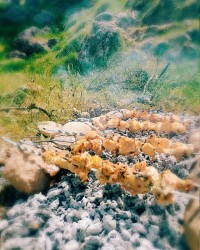 تصاویری از یکروز عالی ?