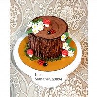 کیک شکلاتی مخصوص