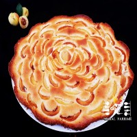 پای زردآلو