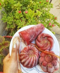 سلام دوستای پاپیونی، بفرمایین اسکمو ی شمال