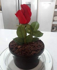 کیک طرح گلدان