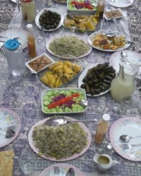 مهمونی تابستانه