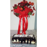 پان اسپانیا قالبی