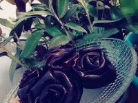 اوم لواشک خونکی شلیل