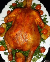 مرغ شکم پر تقدیم نگاه پر مهرتون