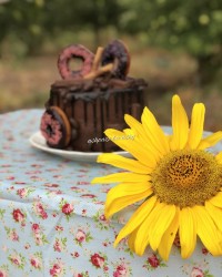 کرم پنیر خامه ای شکلاتی