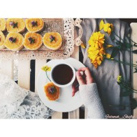 رولت حلوا با نان میکادو
