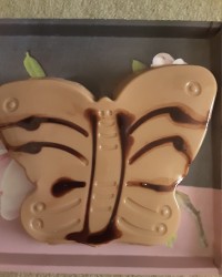 پاناکوتا نسکافه ای دسر ناهارتولد امروز جای همگی عزیزانم خالی