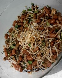 سالاد جوانه ماش و لوبیا چیتی