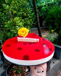 چیز کیک آلبالویی