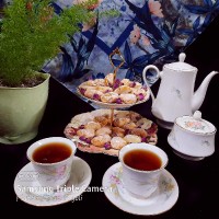 قطاب بدون فر ورق بزنید